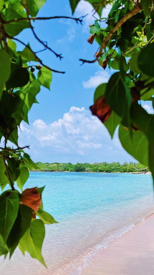 La Villa Ixora, Magnifique Villa Avec Piscine Les Abymes Buitenkant foto